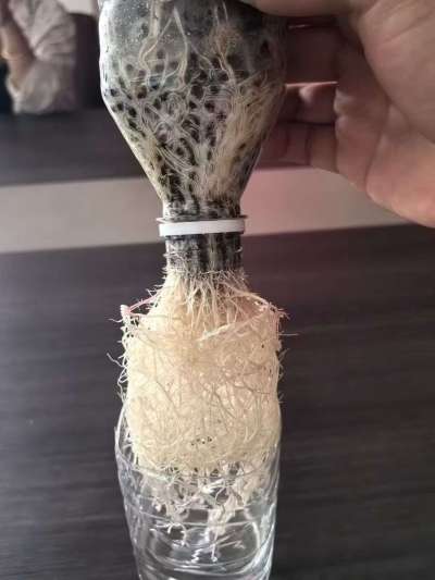 年销售量三十万吨的有机肥生产厂家，全国网点发货，资质齐全，正品保障！有机肥、生物菌肥、微生物肥料等