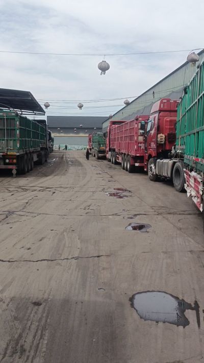 发酵 鸡粪，发酵羊粪 有机肥 微生物肥 微生物菌肥 微生物菌剂 每天出货量1500多吨，都是老客户介绍新微生物菌肥，山西马上出发，近期用肥的老板提前联系，马上到国庆节＋中秋节 一大部分物流都会放假，到