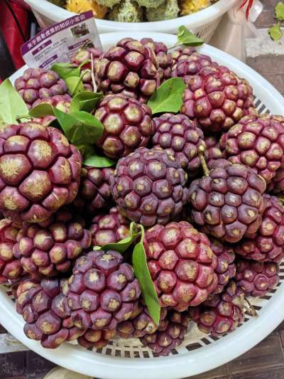 认水果，有认识的吗？