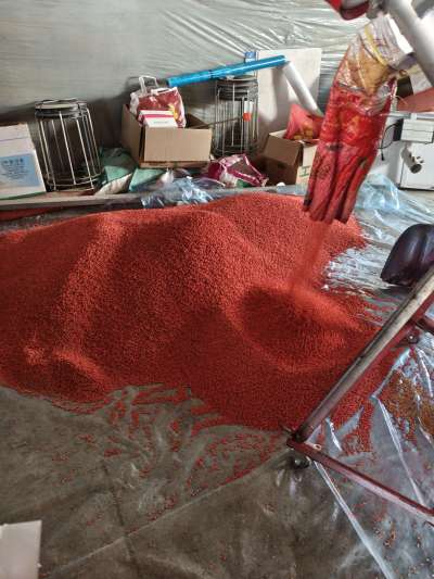 四冠包衣拌种，防虫防病壮苗增产。