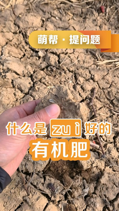 什么是最好的有机肥