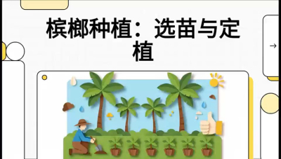 第01节：选苗与定植&mdash;&mdash;&ldquo;苗好一半收，底肥定千秋&rdquo;课程：《槟榔种植：从不懂到精通的10堂必修课》