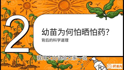 第02节：幼树管理&mdash;&mdash;&ldquo;防晒又防草，树势起得早&rdquo;，课程：《槟榔种植：从不懂到精通的10堂必修课》