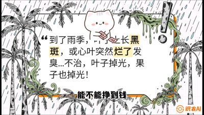 第05节：常见真菌病害&mdash;&mdash;&ldquo;炭疽与烂心，早防值千金&rdquo;《槟榔种植：从不懂到精通的10堂必修课》