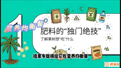 第07节：科学施肥&mdash;&mdash;&ldquo;氮磷钾配好，树壮果不倒