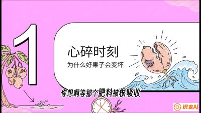 第08节：微量元素与保果&mdash;&mdash;&ldquo;补硼又补钙，果子不裂坏&rdquo;《槟榔种植：从不懂到精通的10堂必修课》