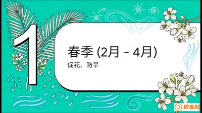 第10节：周年农事日历&mdash;&mdash;&ldquo;跟着节气走，丰产在手头&rdquo;《槟榔种植：从不懂到精通的10堂必修课》