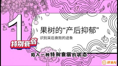 第2节：【冬肥策略】采后&ldquo;月子肥&rdquo;：大小年的精准干预术，课程：《柑橘底肥&ldquo;翻身账&rdquo;：从改土到高产的实战全书》
