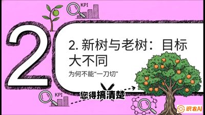 第3节：【春肥策略】开春底肥：新树&ldquo;扩版图&rdquo;，老树&ldquo;点引擎&rdquo;，课程：《柑橘底肥&ldquo;翻身账&rdquo;：从改土到高产的实战全书》