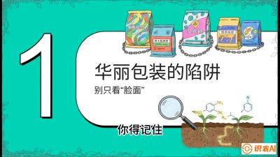 第4节：【黄金配方】底肥里的&ldquo;铁三角&rdquo;与&ldquo;微量雷区&rdquo;课程：《柑橘底肥&ldquo;翻身账&rdquo;：从改土到高产的实战全书》
