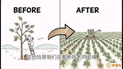 第02节：把树变成草&mdash;&mdash;&ldquo;草本化密植&rdquo;技术，课程：《桑海淘金：桑树高产与蚕桑安全进阶实战课》