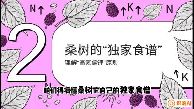 第04节：地下核动力&mdash;&mdash;桑树专用水肥一体化配方，课程：《桑海淘金：桑树高产与蚕桑安全进阶实战课》