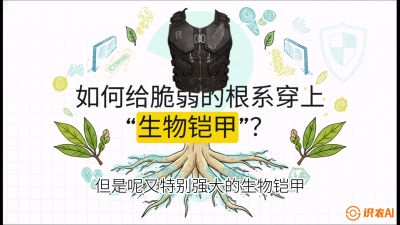 第三节：国产榴莲突围战：根系堡垒，菌根微生态构建与黄金定植窗口，课程：《国产榴莲突围战：从泰国经验到中国实操的8堂必修课（高阶实战版）》