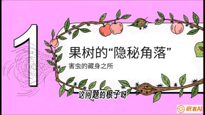 第3节：无人机专治&ldquo;打不透&rdquo;&mdash;&mdash;果树与高杆作物的穿透技巧，课程：《无人机植保搞钱必修课：从&ldquo;瞎飞&rdquo;到&ldquo;懂行&rdquo;的6步进阶》