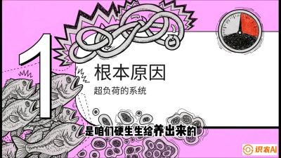 第三节：【爆款单品&middot;加州鲈】从&ldquo;玻璃鱼&rdquo;到&ldquo;摇钱树&rdquo;的通关秘籍，课程：《黄金鳞甲：2025中国淡水鱼高效养殖实战营》