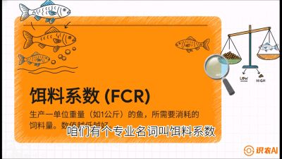 第五节：【高端单品&middot;鳜鱼】&ldquo;饲料鳜&rdquo;技术：打破吃活饵的高成本魔咒，课程：《黄金鳞甲：2025中国淡水鱼高效养殖实战营》