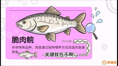 第六节：【老品升级&middot;脆肉鲩】如何让草鱼身价翻倍？，课程：《黄金鳞甲：2025中国淡水鱼高效养殖实战营》