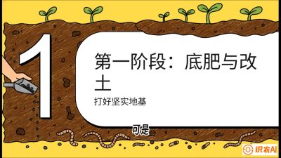 第6节（统筹篇）： 省钱又增产的&ldquo;黄金配比&rdquo;&mdash;&mdash;不同作物全年的养土实操方案，课程：《揭秘土壤的秘密：让土地帮你赚钱》#识农AI