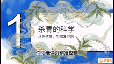 第05节（加工篇）：决胜2分钟：用&ldquo;数字温控&rdquo;破解杀青不匀，复刻大师级手工口感，课程：《茶金时代：从&ldquo;看天吃饭&rdquo;到&ldquo;精准控局&rdquo;的茶叶高产提质实战课》
