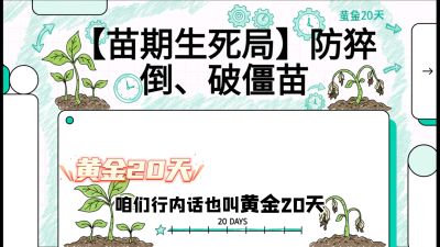 第2节：【苗期生死局】防猝倒、破僵苗，决定后期产量的&ldquo;黄金20天&rdquo;，课程：《辣椒种植实战特训营，从工业辣椒到精品小米辣，教你如何把&ldquo;草&rdquo;种成&ldquo;金&rdquo;》