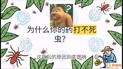 第4节：【虫害歼灭战】打不死的蓟马、隐形的茶黄螨：抗性时代的&ldquo;混配绝杀&rdquo;，课程：《辣椒种植实战特训营，从工业辣椒到精品小米辣，教你如何把&ldquo;草&rdquo;种成&ldquo;金&rdquo;》