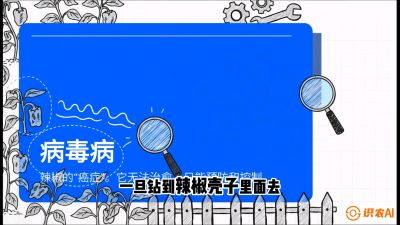 第5节：【病毒病阻击】辣椒的&ldquo;癌症&rdquo;怎么治？从&ldquo;绝收恐慌&rdquo;到&ldquo;带毒生产&rdquo;的逆转术，课程：《辣椒种植实战特训营，从工业辣椒到精品小米辣，教你如何把&ldquo;草&rdquo;种成&ldquo;金&rdquo;》