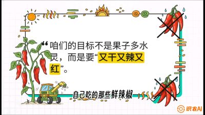 第7节：【工业辣椒专场】追求极致辣度！干物质提升与机械化采收的&ldquo;催红秘籍&rdquo;，课程：《辣椒种植实战特训营，从工业辣椒到精品小米辣，教你如何把&ldquo;草&rdquo;种成&ldquo;金&rdquo;》