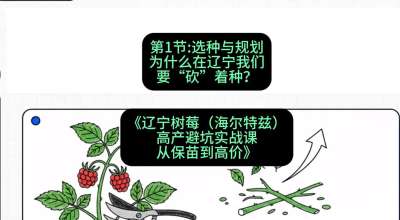 第一节： 选种与规划&mdash;&mdash;为什么在辽宁我们要&ldquo;砍&rdquo;着种？，课程：《辽宁树莓（海尔特兹）高产避坑实战课：从保苗到高价》