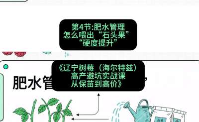 第四节： 肥水管理&mdash;&mdash;怎么喂出&ldquo;石头果&rdquo;（硬度提升），课程：《辽宁树莓（海尔特兹）高产避坑实战课：从保苗到高价》