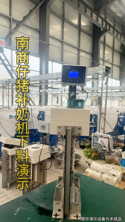小猪抢不到奶，干瘦不长肉？成活率总上不去？😭
自从用上南商农科这款仔猪补奶机，再也没这烦恼！
✅ 一键设置下料参数，新手也能上手
✅ 恒温补奶，小猪抢着喝，长势超均匀
从车间精工组装到猪场落地使用，每