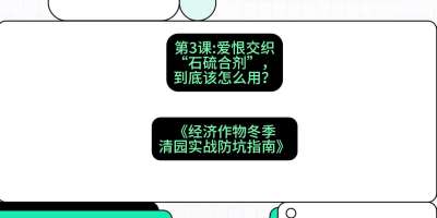 第3节：【核武药剂】爱恨交织的&ldquo;石硫合剂&rdquo;，到底该怎么用？，课程：《经济作物冬季清园&middot;实战防坑指南》#识农AI