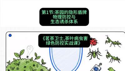 第01节：茶园的&ldquo;隐形盾牌&rdquo;&mdash;&mdash;物理防控与生态诱杀体系，课程：《茗茶卫士&mdash;&mdash;茶叶病虫害绿色防控实战课》#识农AI