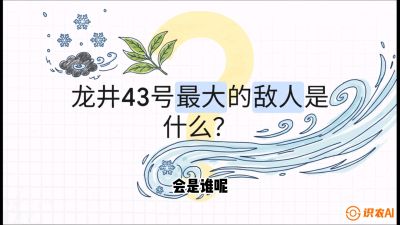 第04节：龙井双璧&mdash;&mdash;龙井43与群体种的差异化护养（重点），课程：《茗茶卫士&mdash;&mdash;茶叶病虫害绿色防控实战课》#识农AI