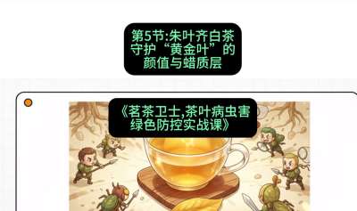 第05节：朱叶齐白茶&mdash;&mdash;守护&ldquo;黄金叶&rdquo;的颜值与蜡质层（重点），课程：《茗茶卫士&mdash;&mdash;茶叶病虫害绿色防控实战课》#识农AI