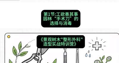 第01节：工欲善其事&mdash;&mdash;园林&ldquo;手术刀&rdquo;的选择与消毒，课程：《景观树木&ldquo;整形外科&rdquo;造型实战特训营》#识农AI