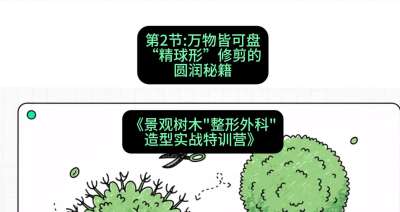 第02节：万物皆可盘&mdash;&mdash;&ldquo;精球形&rdquo;修剪的圆润秘籍，课程：《景观树木&ldquo;整形外科&rdquo;造型实战特训营》#识农AI