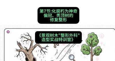 第07节：化腐朽为神奇&mdash;&mdash;偏冠、秃顶树的修复整形，课程：《景观树木&ldquo;整形外科&rdquo;造型实战特训营》#识农AI