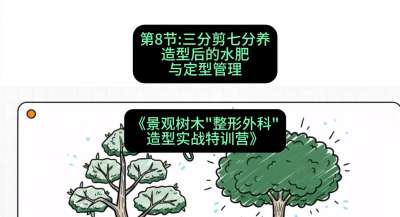 第08节：三分剪七分养&mdash;&mdash;造型后的水肥与定型管理，课程：《景观树木&ldquo;整形外科&rdquo;造型实战特训营》#识农AI